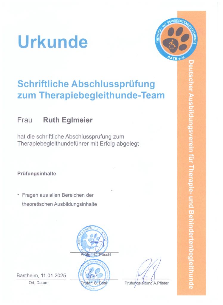 Urkunde Therapiebegleithund_web01