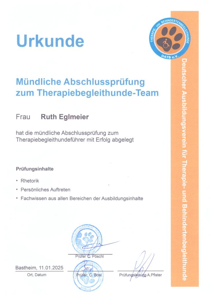 Urkunde Therapiebegleithund_web02