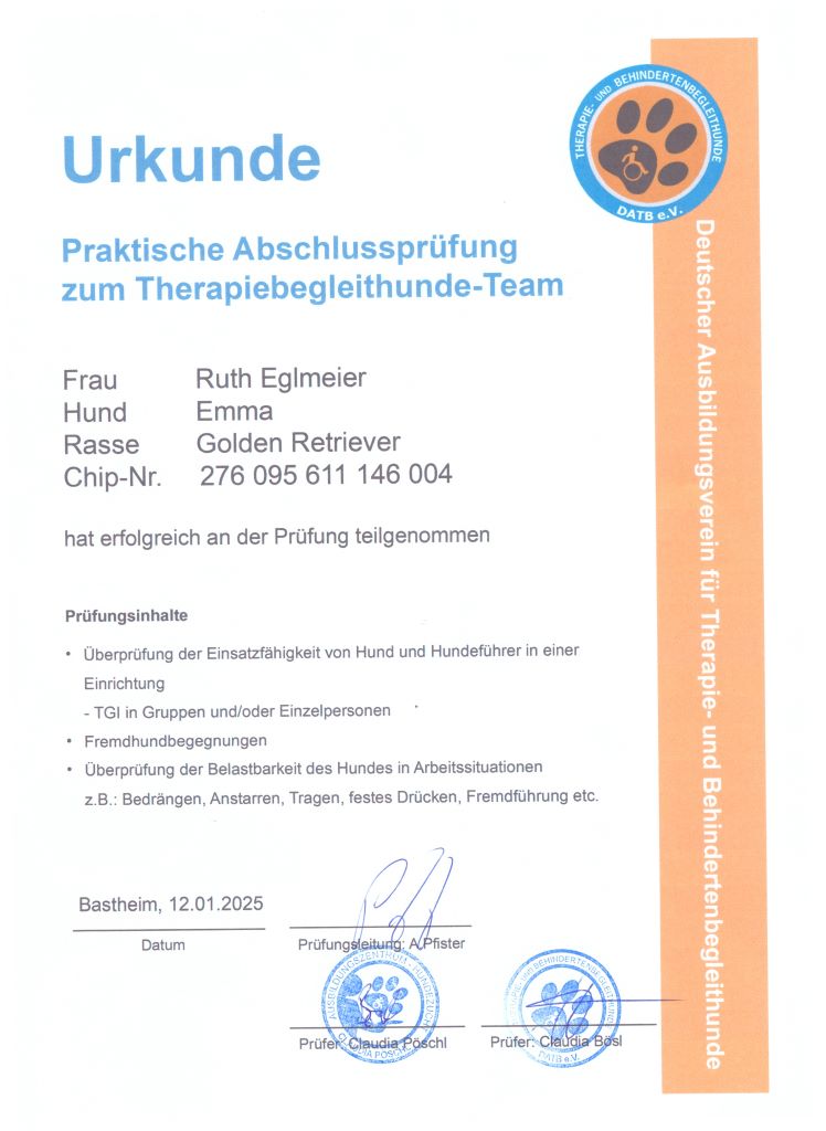 Urkunde Therapiebegleithund_web03